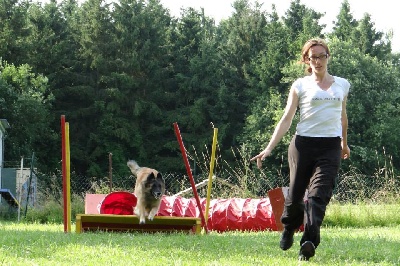 De L'orée Bergère - Concours Agility